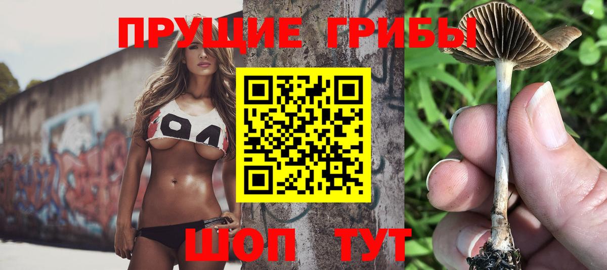 Бийск  Псилоцибиновые грибы GOLDEN TEACHER  хочу   Вход с VPN 